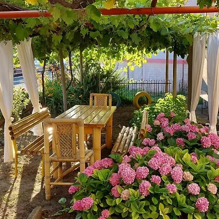 Nikolovi لوزينيتس