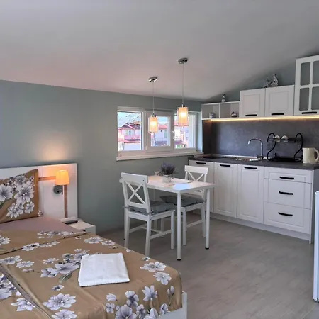 Pensjonat Nikolovi Łozenec