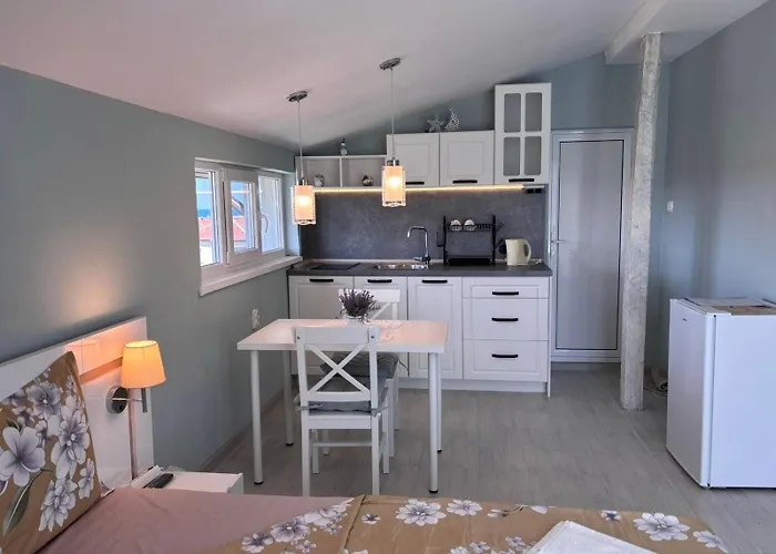 николови Лозенец